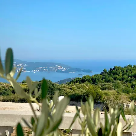 Luxury Lule With Private Pool Near Dubrovnik Villa